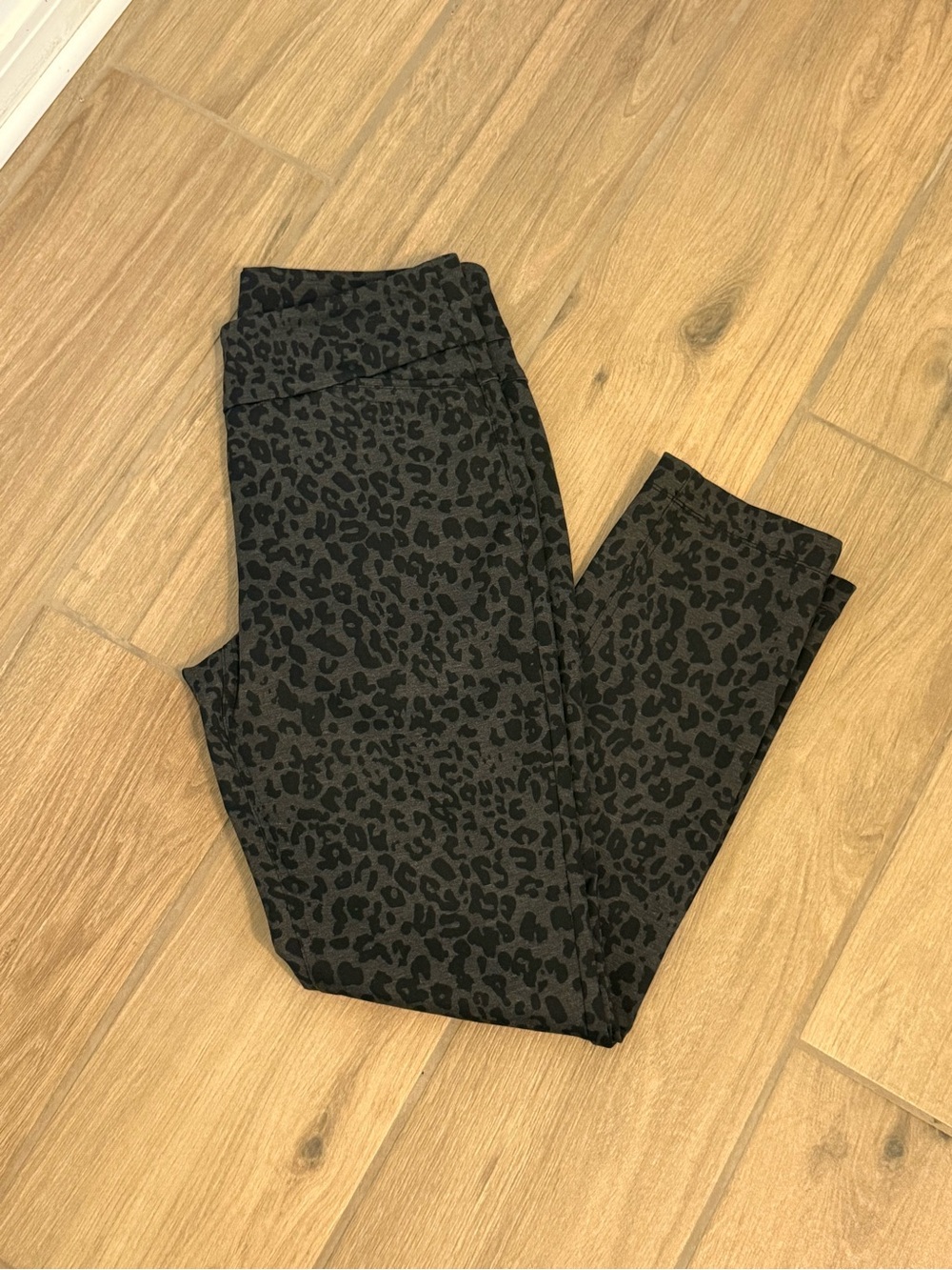 Westbound Women’s Leopard Print Pull-On Pants Size 8 Regular Stretch